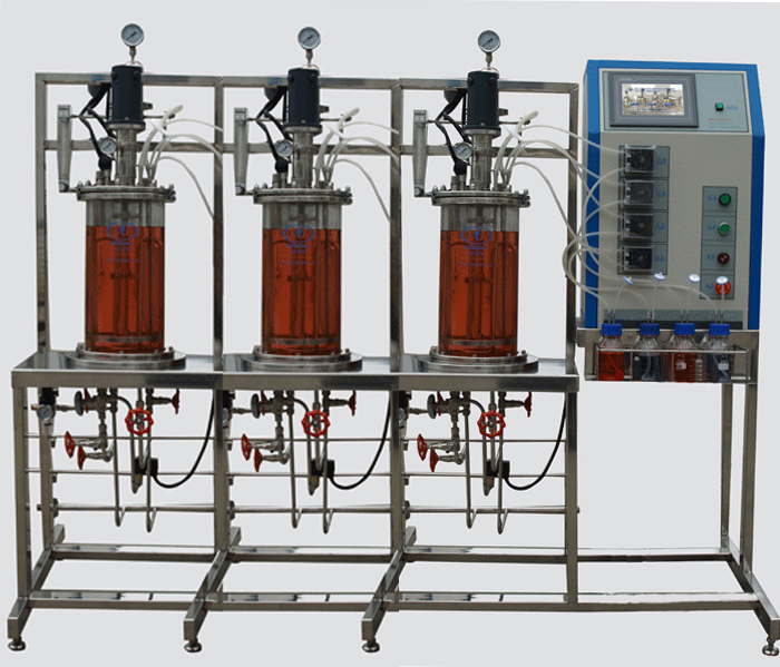 多聯(lián)平行機(jī)械攪拌玻璃發(fā)酵罐